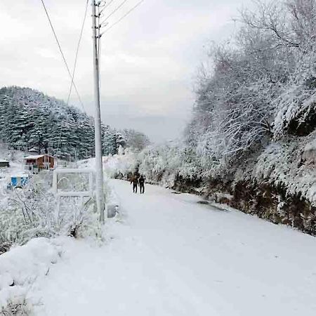 La Riqueza Dhanolti View # Near To Eco Park & Surkanda Devi Temple # Mountain View Rooms With Balcony # Big Parking # Customer Favourite Hotel Dhanaulti Luaran gambar