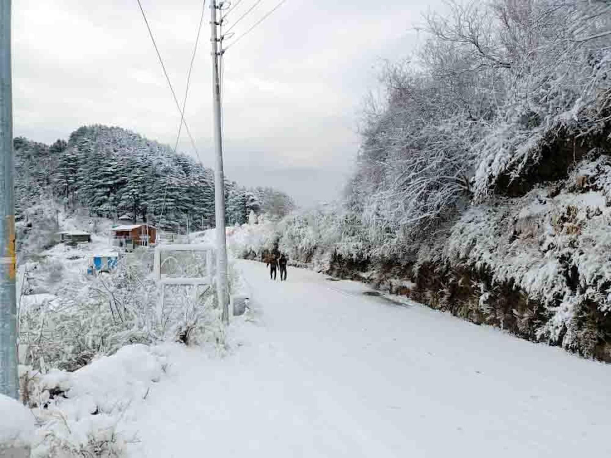 La Riqueza Dhanolti View # Near To Eco Park & Surkanda Devi Temple # Mountain View Rooms With Balcony # Big Parking # Customer Favourite Hotel Dhanaulti Luaran gambar