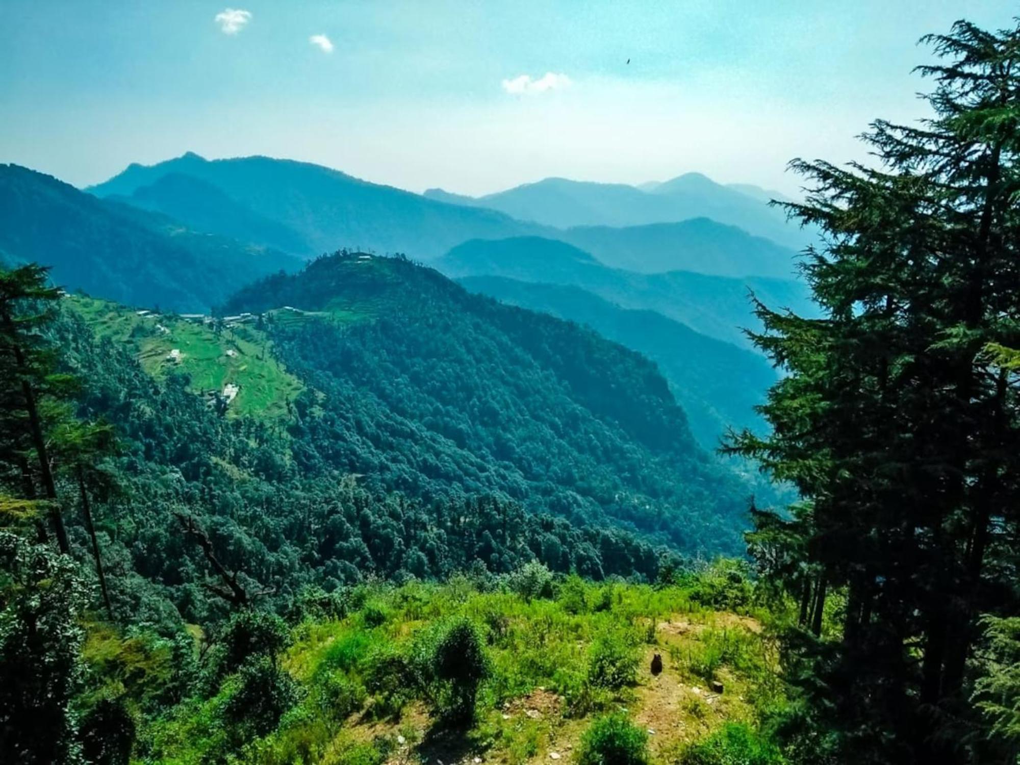 La Riqueza Dhanolti View # Near To Eco Park & Surkanda Devi Temple # Mountain View Rooms With Balcony # Big Parking # Customer Favourite Hotel Dhanaulti Luaran gambar